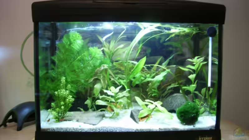 Aquarium Hauptansicht von Becken 3425