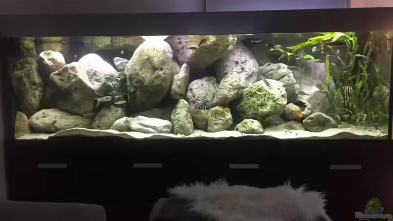 Aquarium Hauptansicht von Becken 34391