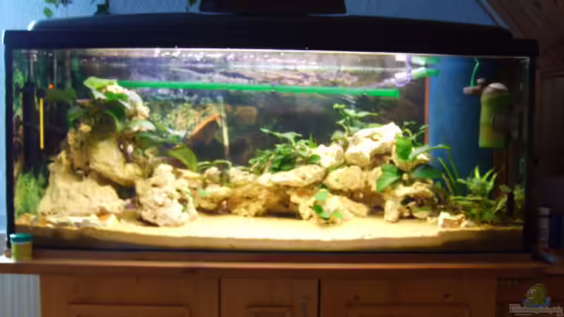 Aquarium Hauptansicht von Becken 3451