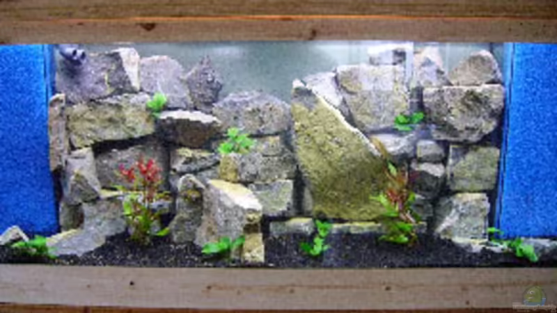 Aquarium Hauptansicht von Becken 346 von Stephan Dahlmanns (1)