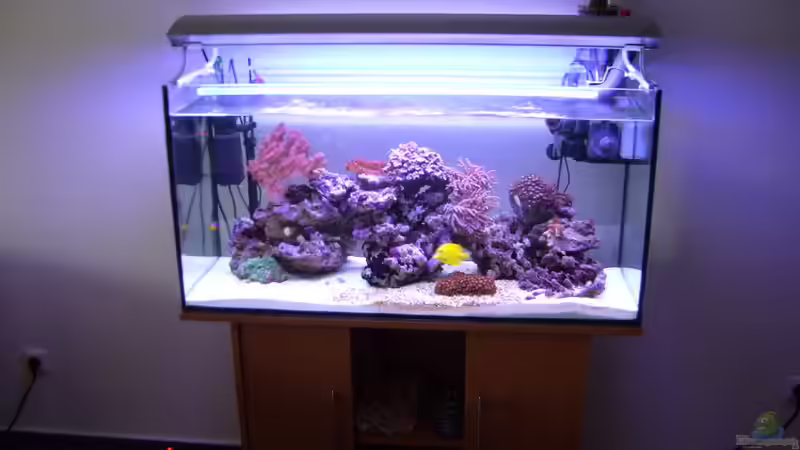 Aquarium Hauptansicht von Becken 3494 von Michael Küster (1)