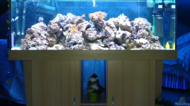 Aquarium Hauptansicht von Becken 3532 von Heiko Kunzweiler (1)