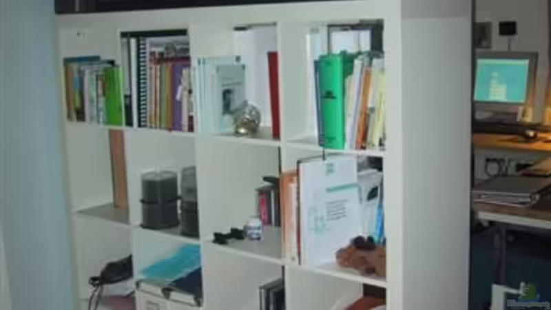 Aquarium Hauptansicht von Becken 357 von Fabian Benner (1)