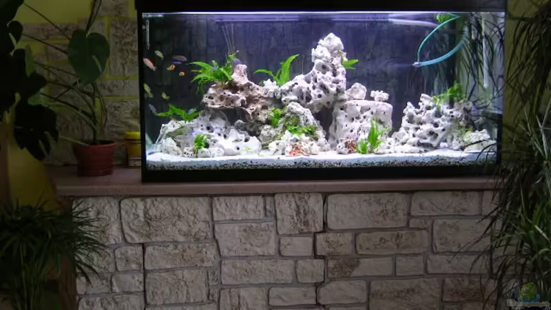 Aquarium Hauptansicht von Becken 359 von Frank Faselt (1)