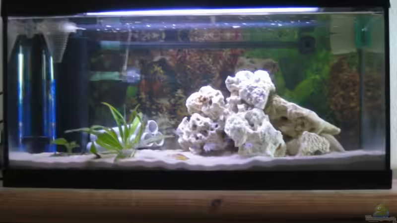 Aquarium Hauptansicht von Becken 3608