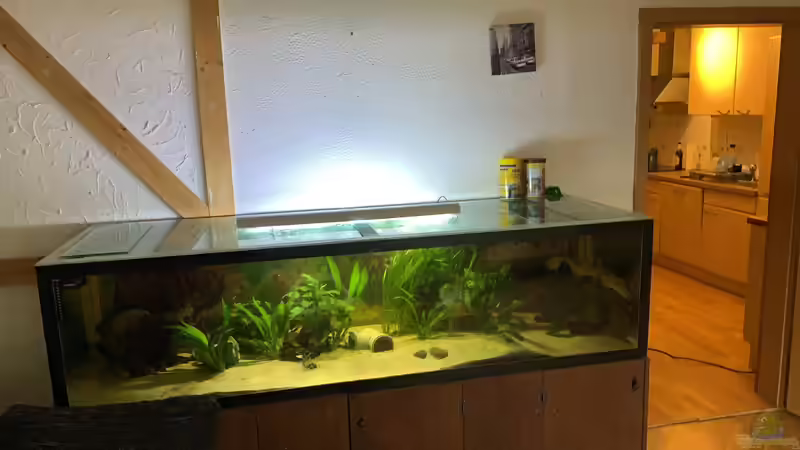 Aquarium Hauptansicht von Becken 36089 von Kevin De Fries (1)