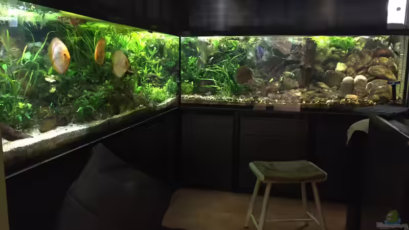 Aquarium Hauptansicht von Becken 36498 von Christian Schulz (1)