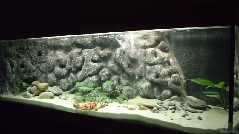Aquarium Hauptansicht von Becken 371
