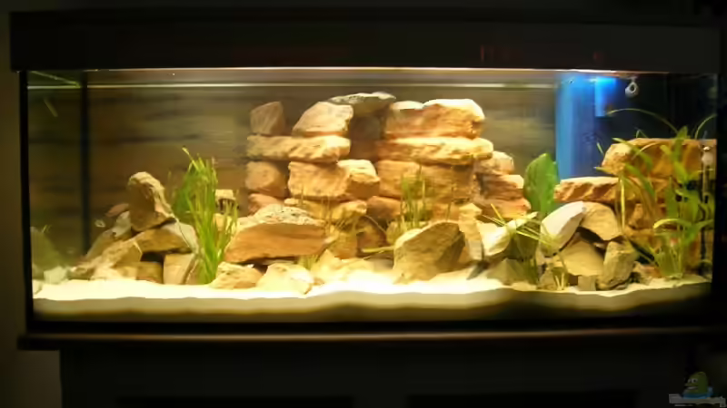 Aquarium Hauptansicht von Becken 3719 von Mikolas Rost (1)