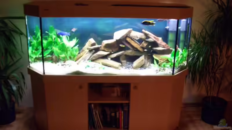 Aquarium Hauptansicht von Becken 374 von Marco Arens (1)