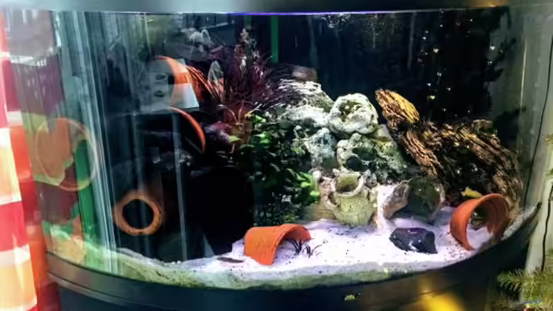 Aquarium Hauptansicht von Becken 37787