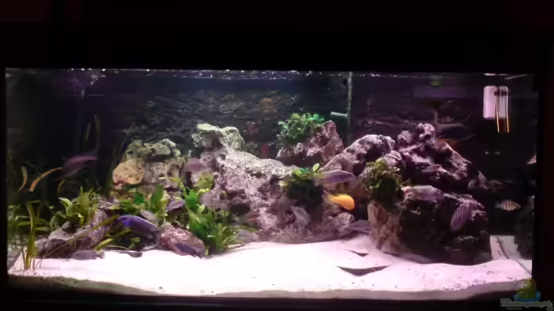 Aquarium Hauptansicht von Becken 3874 von Jan Kaun (1)