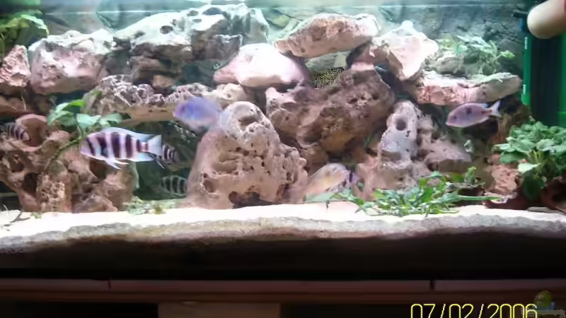 Aquarium Hauptansicht von Becken 3881 von Robert Friedel (1)