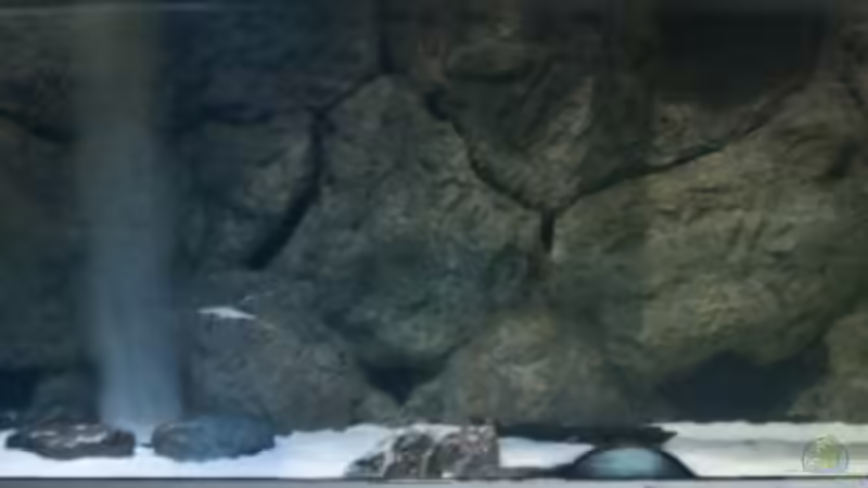 Aquarium Hauptansicht von Becken 3925