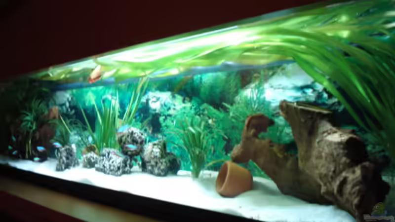 Aquarium Hauptansicht von Becken 3934 von Michel Goerns (1)