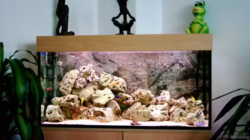 Aquarium Hauptansicht von Becken 415