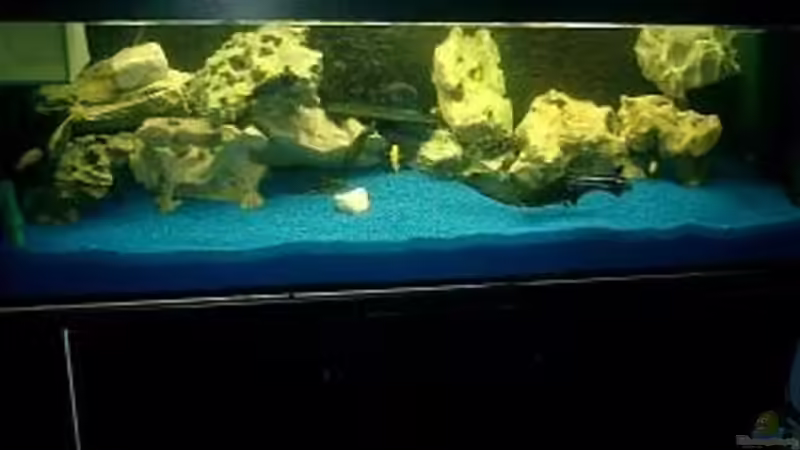 Aquarium Hauptansicht von Becken 422 von Peter Fröse (1)