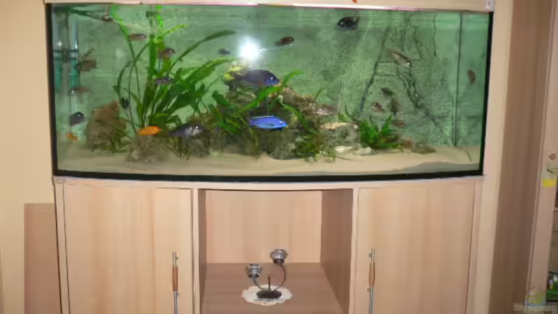 Aquarium Hauptansicht von Becken 4223 von Mario Reining (1)