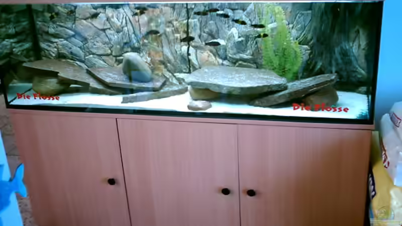 Aquarium Hauptansicht von Becken 4357 von Mario Fricke (1)