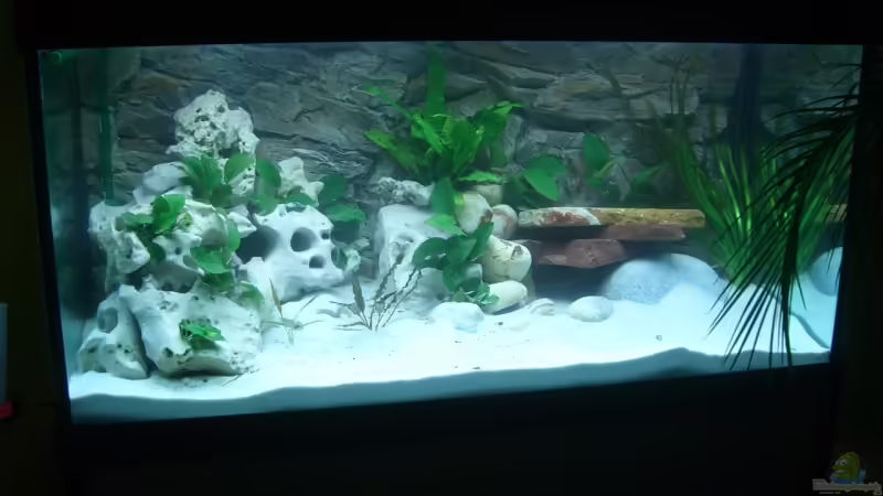 Aquarium Hauptansicht von Becken 4378