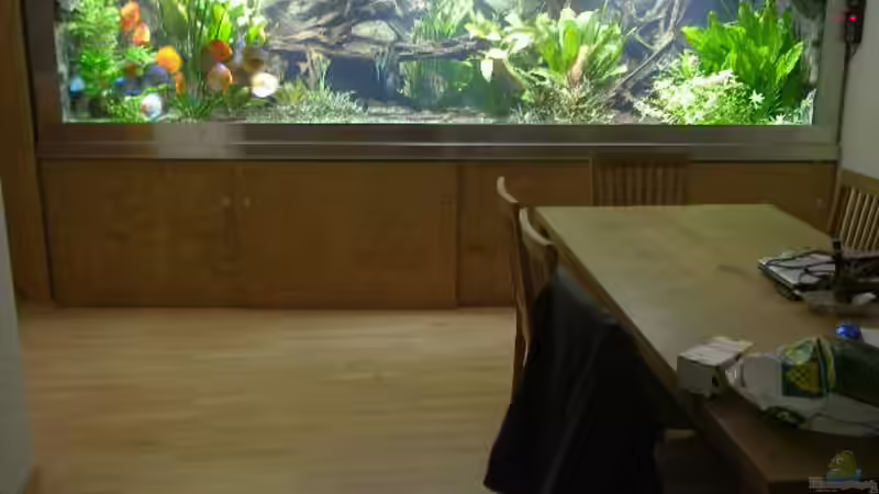 Aquarium Hauptansicht von Becken 4412