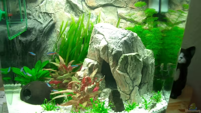 Aquarium Hauptansicht von Becken 4414 von Peter Horzella (1)