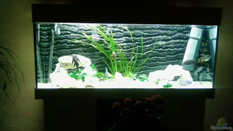 Aquarium Hauptansicht von Becken 4553 von Jonny84 (1)