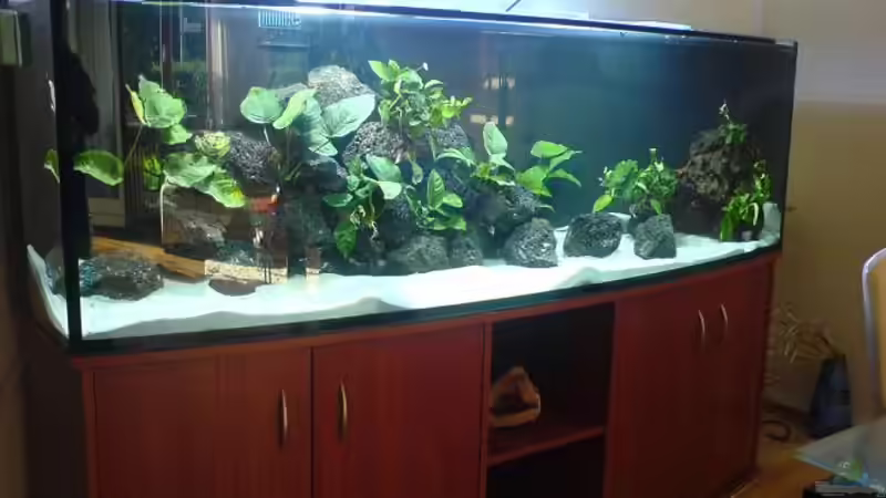 Aquarium Hauptansicht von Becken 4575 von Steffen Lehner (1)