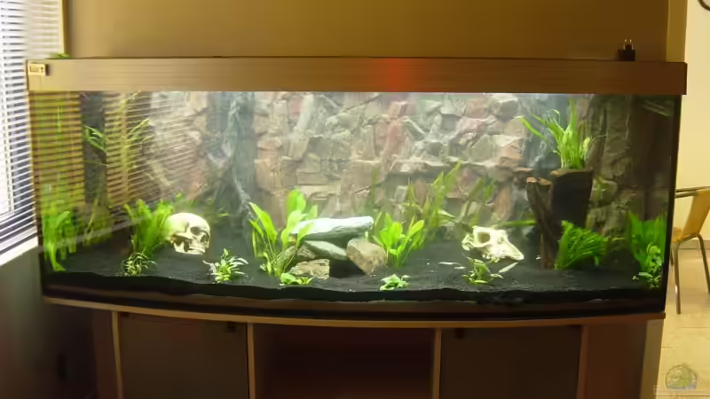 Aquarium Hauptansicht von Becken 4645 von Guido Klein (1)