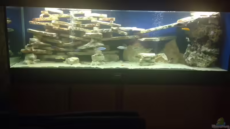 Aquarium Hauptansicht von Becken 4654 von Marko Geißler (1)