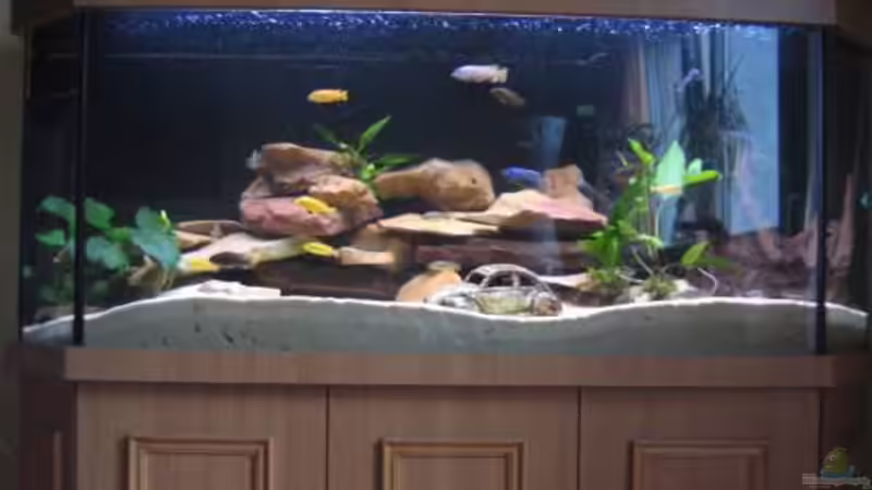 Aquarium Hauptansicht von Becken 4850 von Thomas Illner (1)