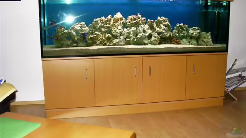 Aquarium Hauptansicht von Becken 491 von Tobias Noll (1)