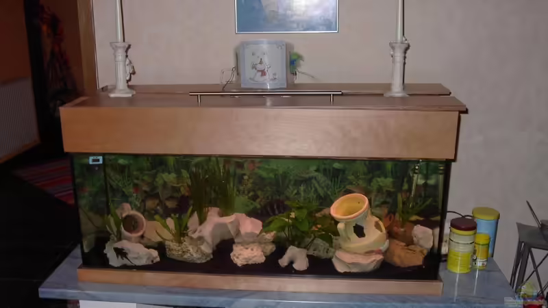 Aquarium Hauptansicht von Becken 4983 von Michael Wentzel (1)