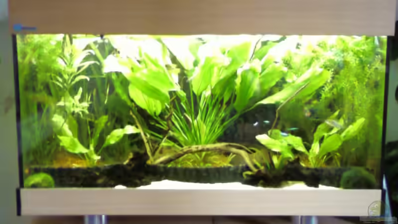 Aquarium Hauptansicht von Becken 5067