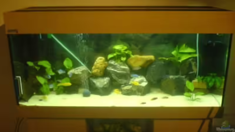 Aquarium Hauptansicht von Becken 5074 von Heiko Rodegast (1)