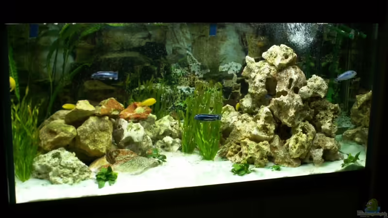 Aquarium Hauptansicht von Becken 5108 von Heiko Voigt (1)