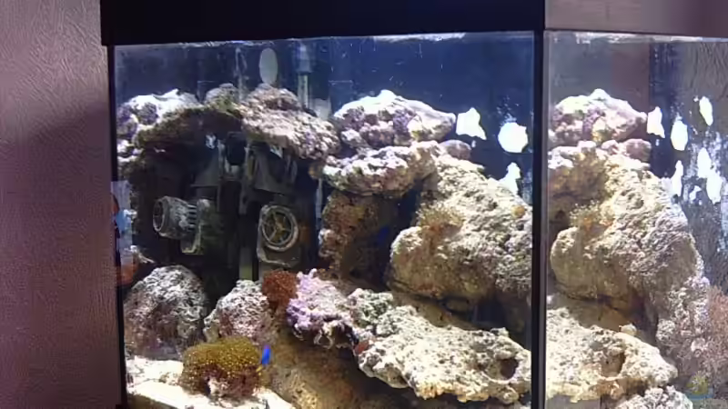 Aquarium Hauptansicht von Becken 5200