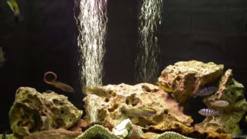Aquarium Hauptansicht von Becken 522 von Rihtarsic Bojan (1)