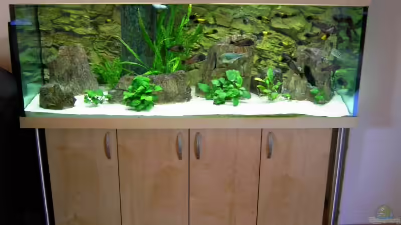 Aquarium Hauptansicht von Becken 5280