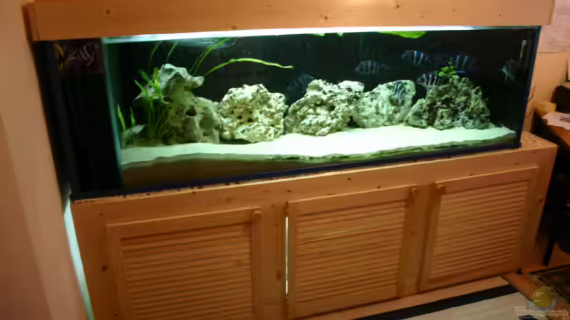 Aquarium Hauptansicht von Becken 533 von Daniel Hieber (1)