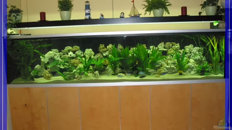 Aquarium Hauptansicht von Becken 5513 von xtommix (1)