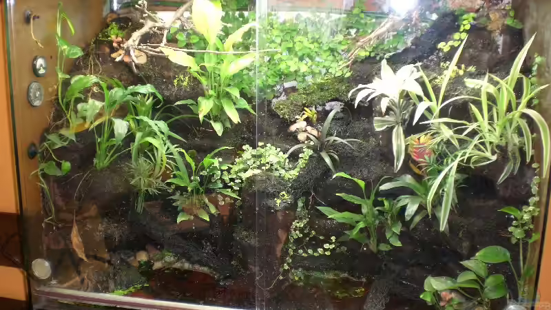 Aquarium Hauptansicht von Becken 5515 von Stephanie Schalk (1)