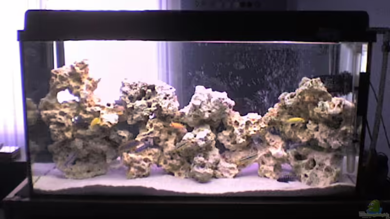 Aquarium Hauptansicht von Becken 5558 von Patrick Schmitt (1)