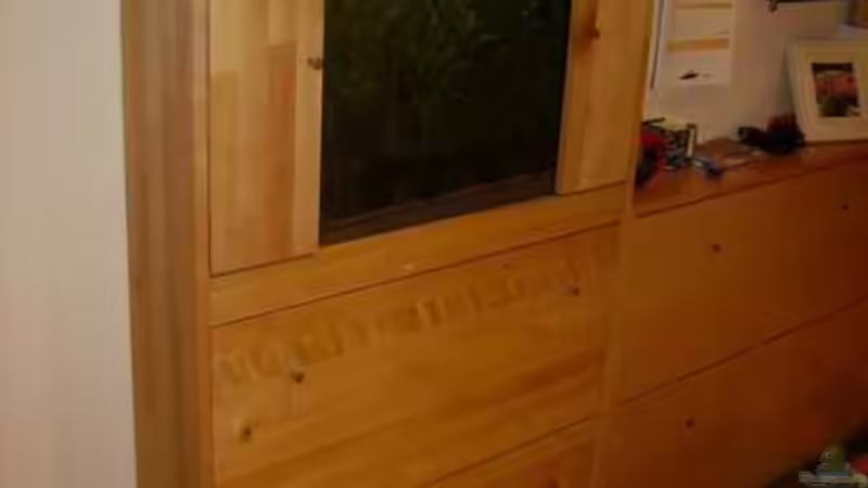 Aquarium Hauptansicht von Becken 5631 von Lehmann Ronald (1)