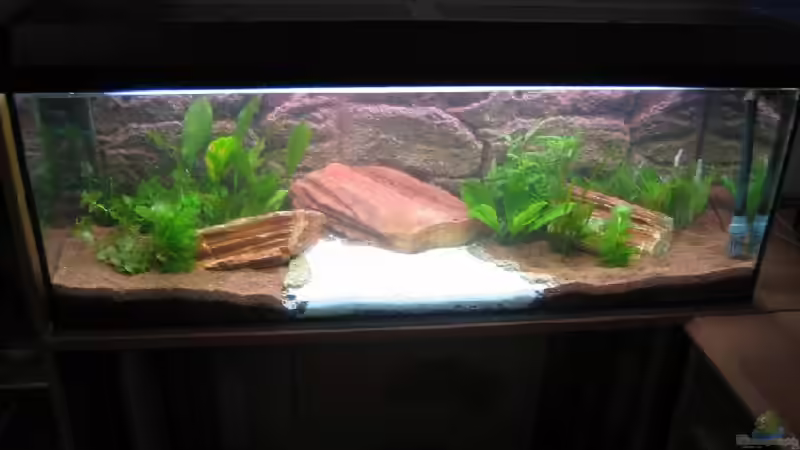 Aquarium Hauptansicht von Becken 5671