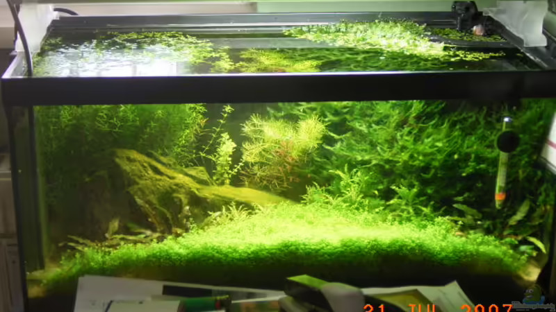 Aquarium Hauptansicht von Becken 5799 von Peter Klemm (1)