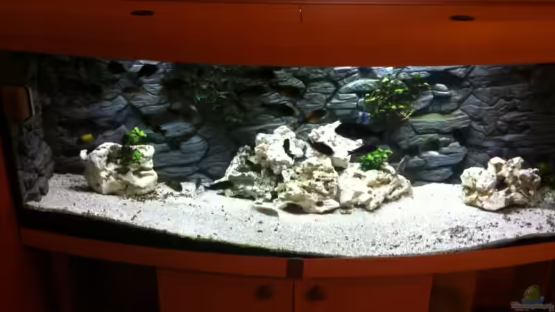 Aquarium Hauptansicht von Becken 5806 von Oliver Rank (1)