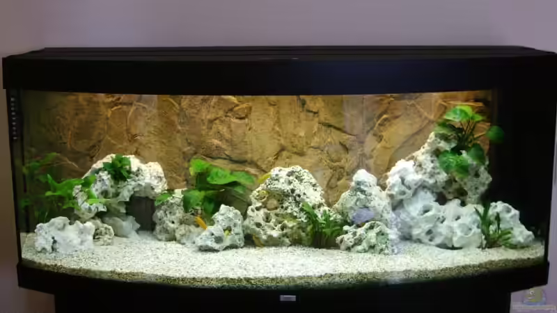 Aquarium Hauptansicht von Becken 5821