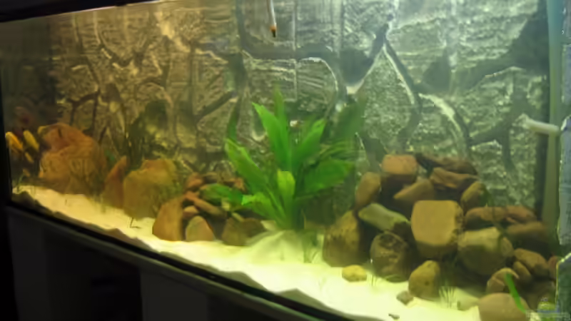 Aquarium Hauptansicht von Becken 5903 von Maurice Overheu & Dennis Klusmann (1)