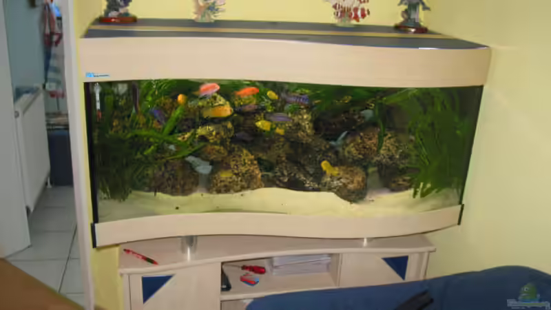 Aquarium Hauptansicht von Becken 607 von Daniel Hieber (1)